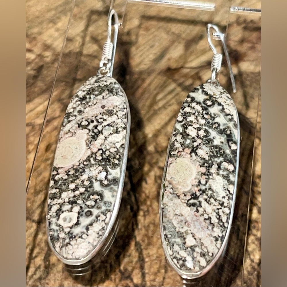 Jaguar Stone Jasper Earrings 2 1/4”